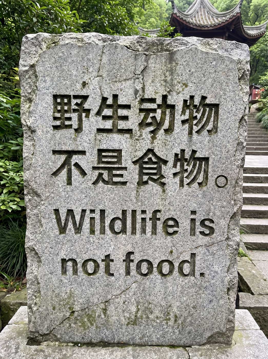 Some Chinglish