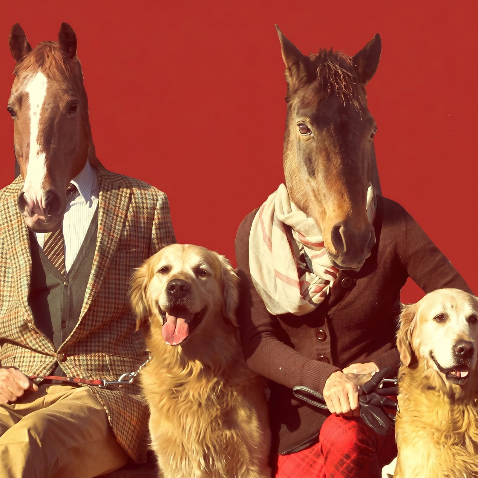 Year of the Horse