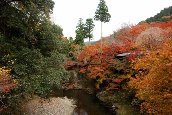 Japan In Autumn