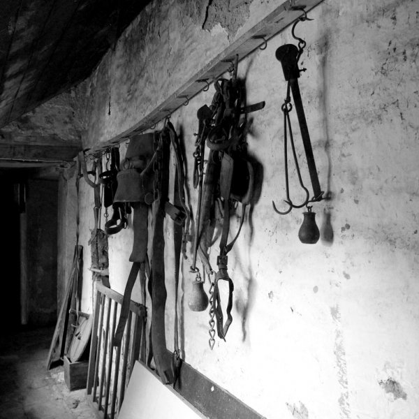 bardon manor (16)