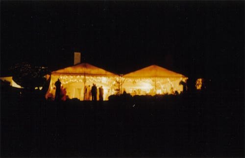 nightlights 3