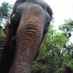 thailand-ko-chang (17)