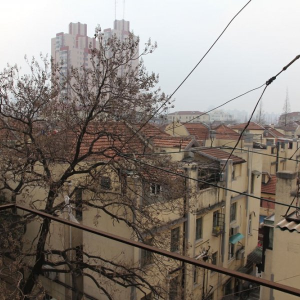 renovation4 (14)